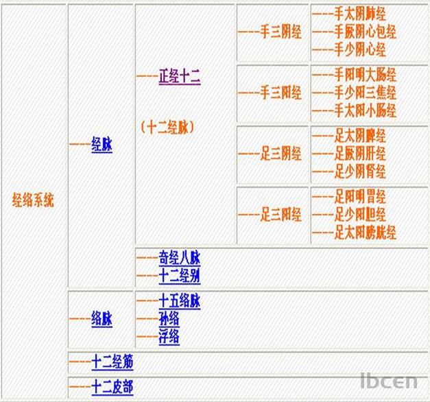 全身14经络示范图